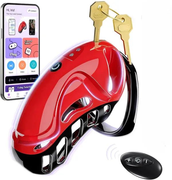 Chastity Cage Peniskäfig Keuschheitskäfig Penisringe mit 10 Vibrationsmodi Penishülle - DELUSTLAB